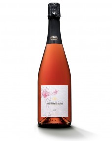 Brut Rosé